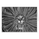 Suche nach maine waschbär postkarten Niedlich