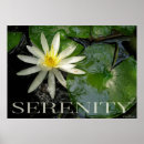 Suche nach wasserlilien poster Nymphe