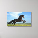 Recherche de cheval noir toiles Beau