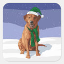 Recherche de chiens de chasse autocollants Animaux