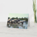 Recherche de cheval galopant vœux cartes Chevaux