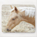 Suche nach palomino mousepads Palamino