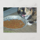 Recherche de manger cartes postales Animal