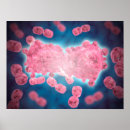 Suche nach epidemiologie poster Gesundheitswesen