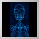 Recherche de squelettiques posters Bleu