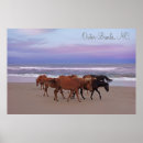 Recherche de chevaux sur la plage posters Sauvage