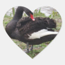 Suche nach schwarzer schwan aufkleber Weiß