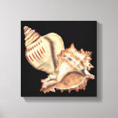 Suche nach muscheln leinwandbilder Meer