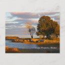 Recherche de marsouin cartes postales Cape