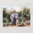 Recherche de peinture africaine cartes postales Afrique