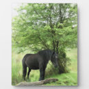 Recherche de cheval plaques Chevaux