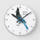 Recherche de geai bleu horloges Oiseau