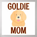 Suche nach goldener hund poster Haustiere