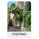 Recherche de positano italie magnets Europe