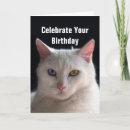 Suche nach türkischer geburtstag karten Kitty
