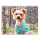 Suche nach yorkie kalender Welpe