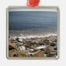 Suche nach malerische ornamente Cindy miller hopkins