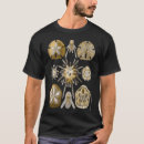 Suche nach haeckel tshirts Illustration
