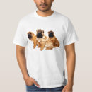Recherche de pei shar tshirts Rides