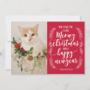 Suche nach cat christmas karten Weihnachten