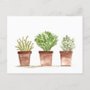 Suche nach rosmarin postkarten Thyme
