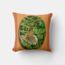 Recherche de nature copie Insecte