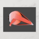 Suche nach human anatomy poster Dura mater