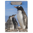 Suche nach pinguin klemmbrett Antarktika