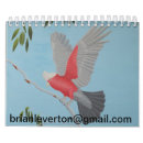 Suche nach musik kalender Vögel