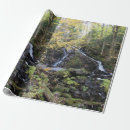 Recherche de cascade photographie Feuille