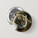 Suche nach orange schwarzes buttons Katze
