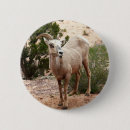 Recherche de moutons drôles badges Pour tous