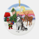 Suche nach alaskan malamute ornamente Hunde