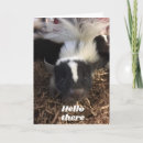 Suche nach stinken postkarten Stinker