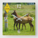 Suche nach elk wanduhren Tierwelt