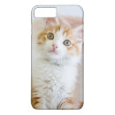 Recherche de chat domestique iphone coques Photographie