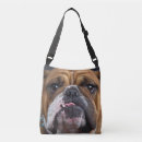 Recherche de jet sacs Chien