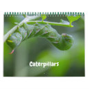 Suche nach käfer kalender Schmetterlinge