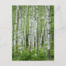 Recherche de préfectures cartes postales Photographie