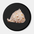 Recherche de aquatique magnets Noir
