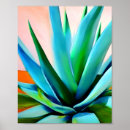 Recherche de agave posters Plante