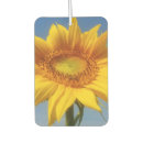 Recherche de beau voiture accessoires Désosseuse