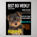 Suche nach lustige yorkshire terrier poster Hunde