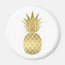 Suche nach ananas magnete Hawaiisch