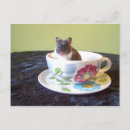 Suche nach niedlicher hamster postkarten Gruß