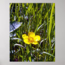 Suche nach blume pics Bilder