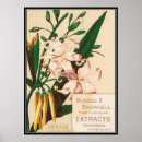 Recherche de vanille posters Rétro