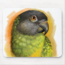 Recherche de peinture perroquet tapis souris Oiseau