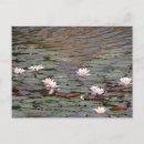 Suche nach rosa lilien postkarten Foto
