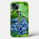 Suche nach reifen iphone hüllen Ernährung